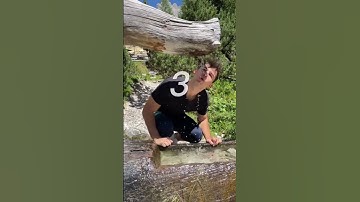 Proof that not everything can be an album cover 😳😍📸 #shorts