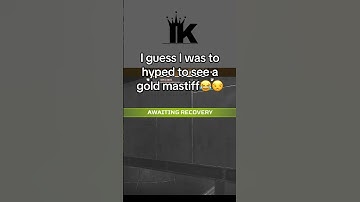 Mistakes were made #shorts #apexlegends #apex #apexlegendsmobile #apexlegendsclips #apexclips #fps