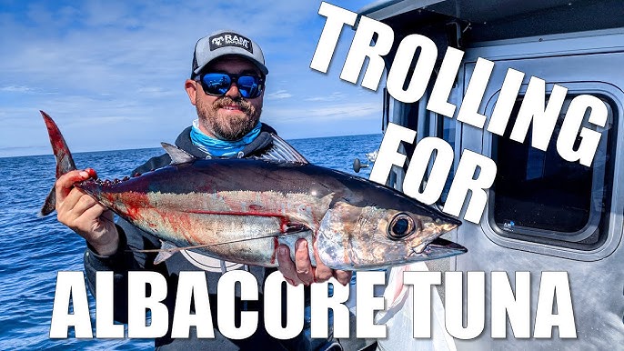 Getting Ready for Albacore Tuna Fishing in BC Waters - Island Fisherman  Magazine