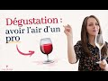 5 conseils pour devenir un pro de la dgustation de vin et tre  laise pour parler de vin