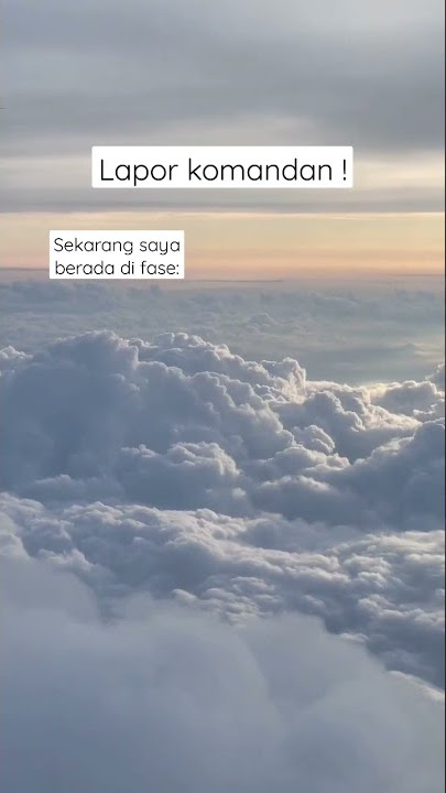 story wa 30 detik || lapor komandan || nyaman sendiri #shorts
