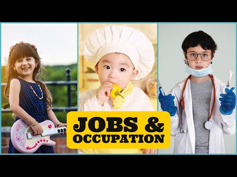 Vídeo: Quines Professions Es Demanen El