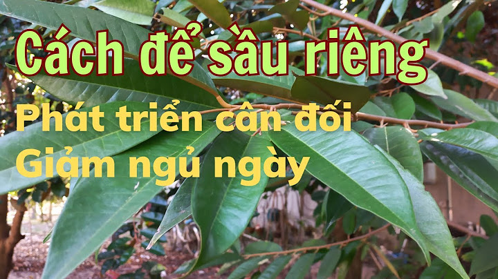 Fs trái cây tươi đánh giá