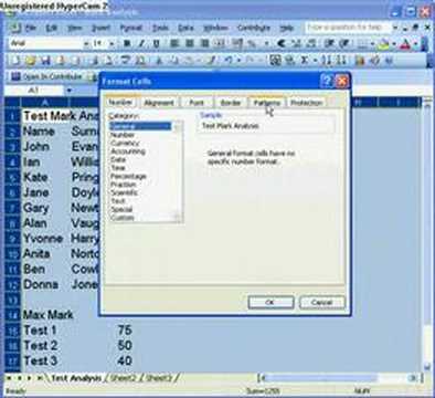 E1.1 Simple Formatting of an Excel Spreadsheet