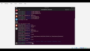 Lab 3 Directory Structure – Alimi (Section 2) – DAT10903 Operating System
