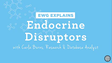 What are the most common endocrine disruptors?