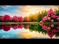 Relaxing Music to Rest the Mind - Bamboo, Soothing music, Meditation music, Nature sounds, Work