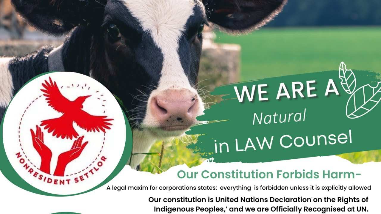How to Protect Your Farm and Livestock in NZ