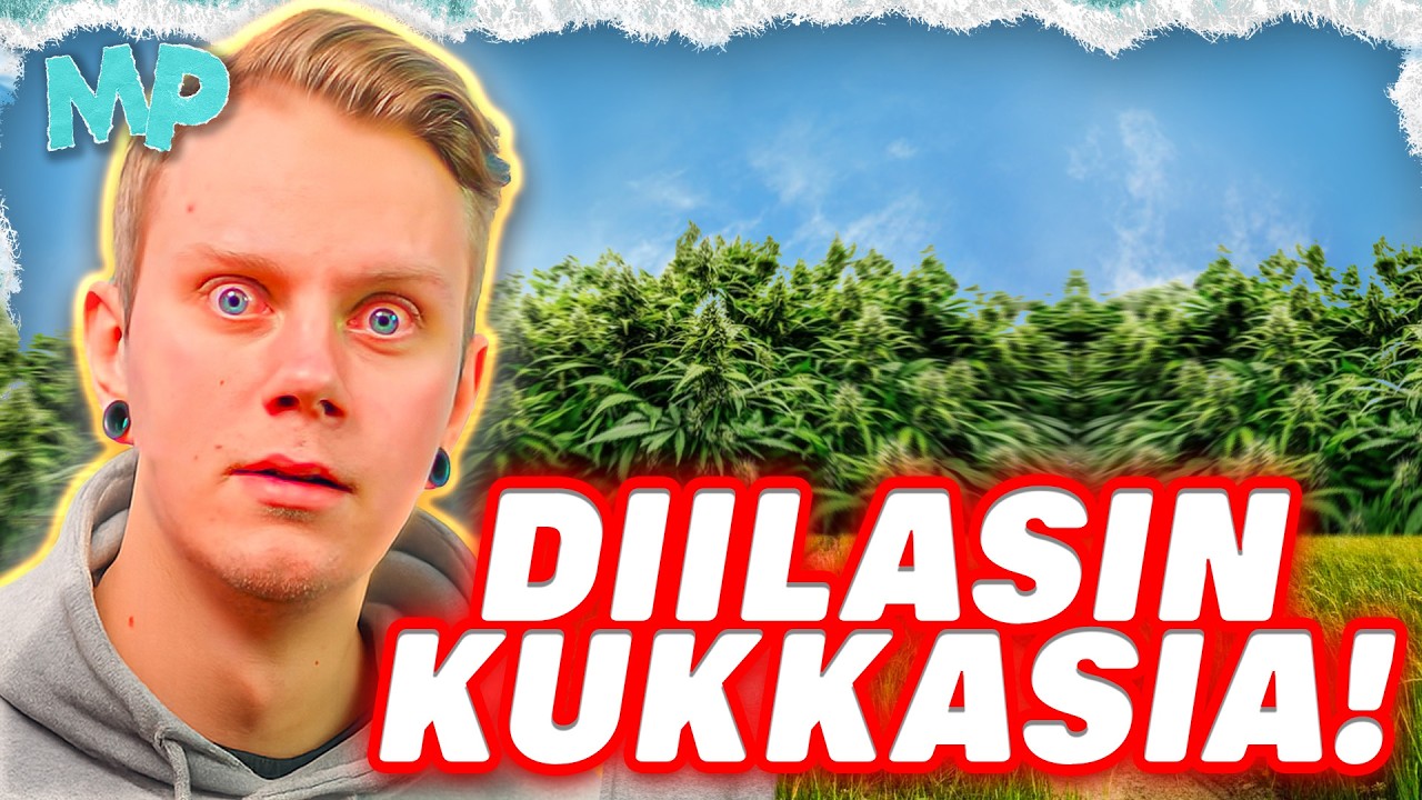 Joudun Tästä Vankilaan - Laittomimmat Teot