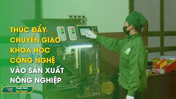 Thúc đẩy chuyển giao khoa học công nghệ vào sản xuất nông nghiệp | Thái Nguyên TV