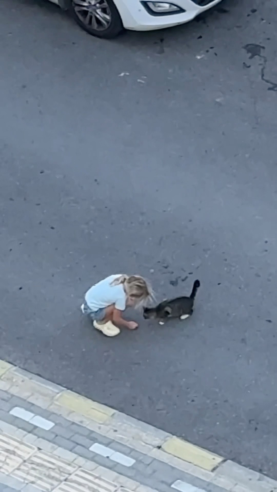 Gave the sausage to the cat