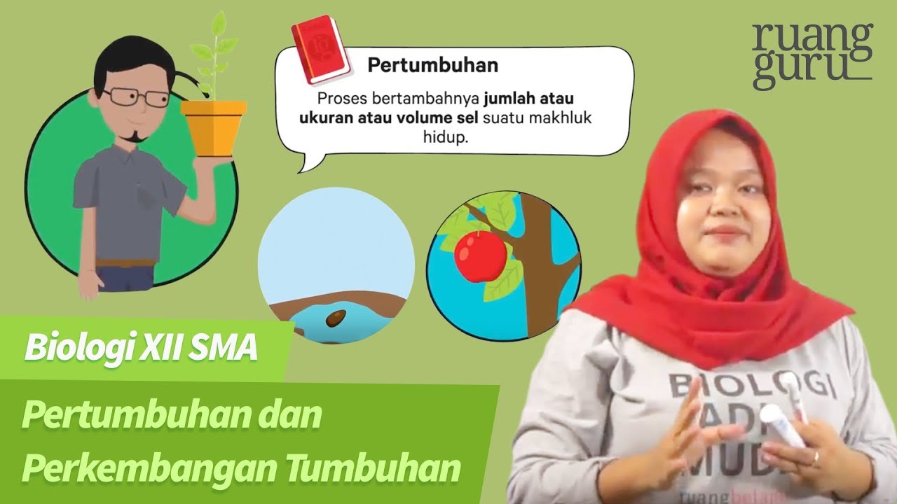 Materi kelas 12 biologi tentang pertumbuhan dan perkembangan