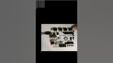 [FPGA] MicroBlaze Processor (SoC)