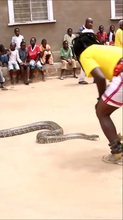 sukuma python 1