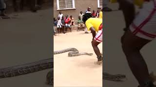 sukuma python 1