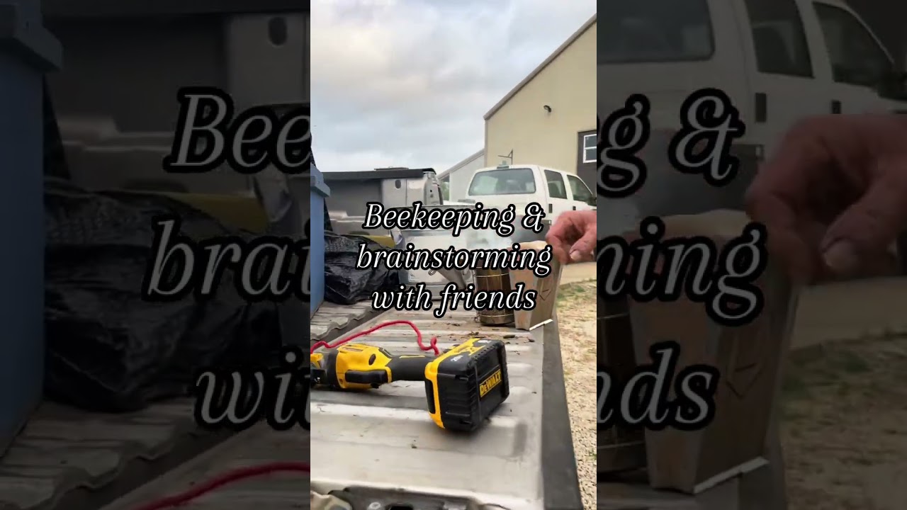 Turns out I have a ton of drafts that I never posted, so, buckle up 🚙 I may delete them all or share