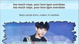 Easy Lyric EXO K - OVERDOSE by GOMAWO [Indo Sub]