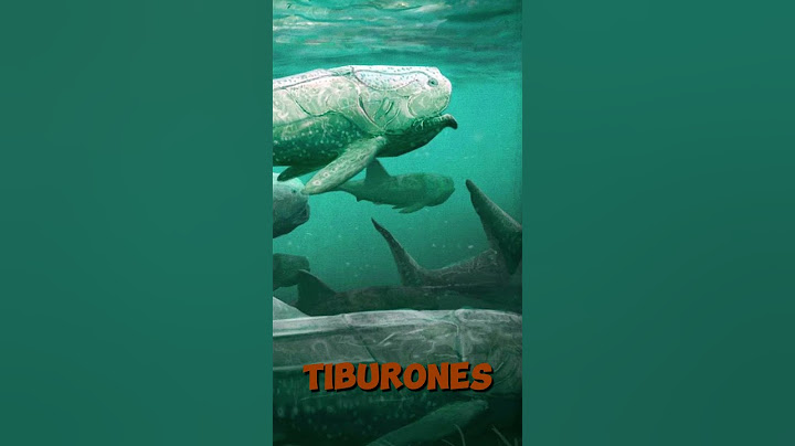 ERA PREHISTORICA #curiosidades #sabias #sabiasesto #nosabias #datoscuriosos #sabiasque