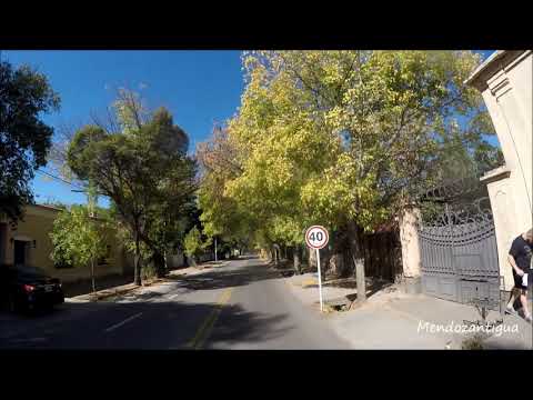 Video: Tour Del Vino In Bici A Chacras De Coria, Mendoza - Matador Network