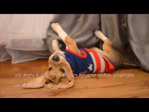 ოლივერ ბიგლი