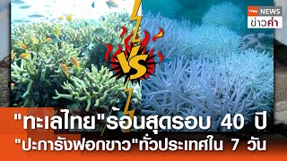 "ทะเลไทย"ร้อนสุดรอบ 40 ปี "ปะการังฟอกขาว"ทั่วประเทศใน 7 วัน | TNN ข่าวค่ำ | 6 พ.ค. 67