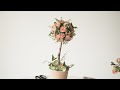 플라워 토피어리 만들기/Flower Topiary