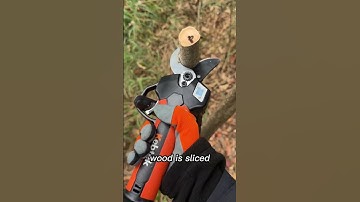 Deze machine snijdt bomen als boter... je zult het niet geloven