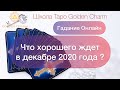 Что хорошего ждет в декабре 2020 года? ОНЛАЙН ГАДАНИЕ/ Школа Таро Golden Charm