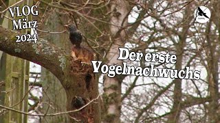 Frühlingsanfang Videoblog März 2024 Teil 5