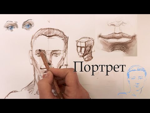 Портрет карандашом. Пропорции. Анфас.