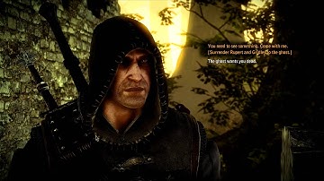 The Witcher 2 pc game, chapter 1, In the Claws of Madness good ending