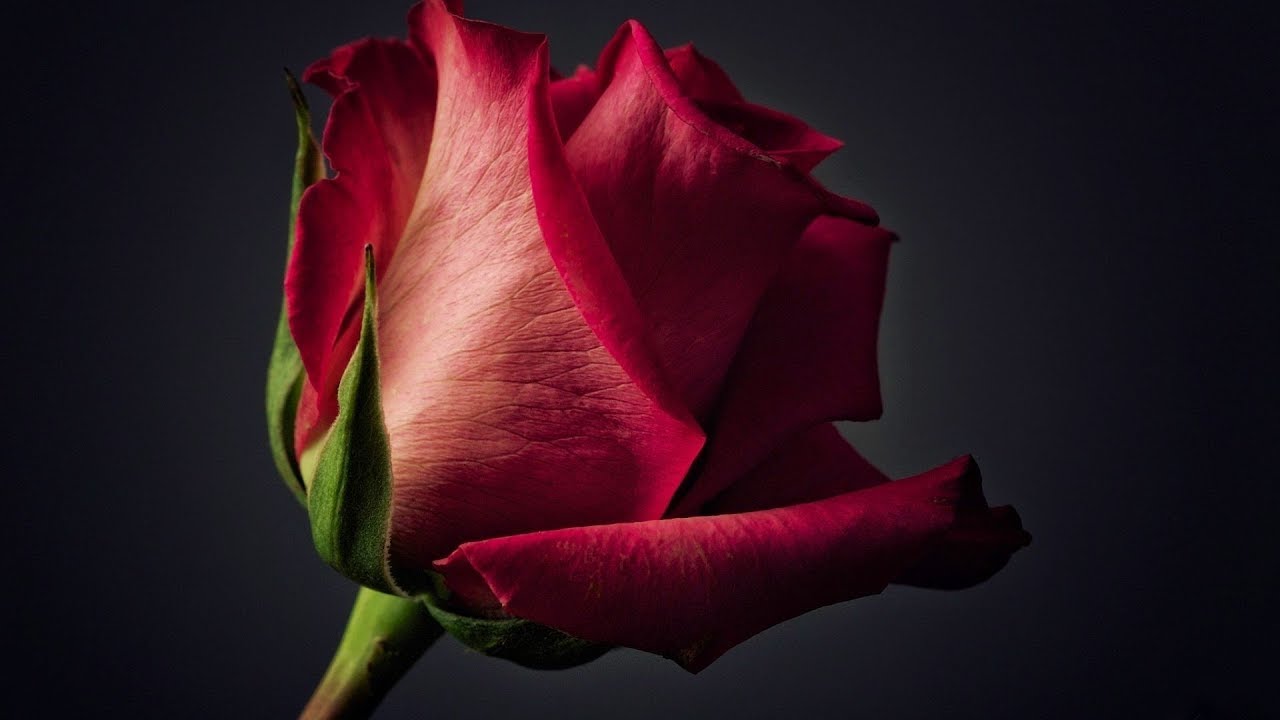 How to Have A Fruitful Discussion with Your Spouse - Abu Aadam Jameel Finch