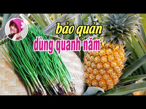 Video: Cách Bảo Quản Dứa Tại Nhà