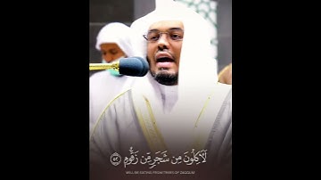 قُلْ إِنَّ الْأَوَّلِينَ وَالْآخِرِينَ ~ تلاوة جميلة غاية في الروعة تشرح الصدر للشيخ ياسر الدوسري 😴🤍