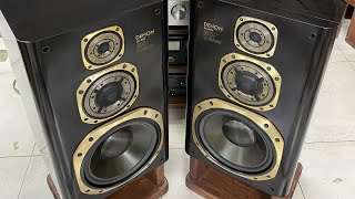 Колонки Denon sc r99 краснокнижный мамонт