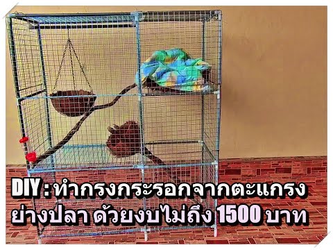 DIY: made squirrel house form barbecue grate ทำกรงกระรอกจากตะแกรงย่างปลา ด้วยงบประมาณไม่ถึง 1500 บาท