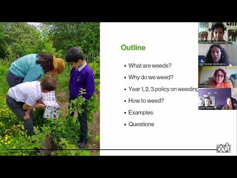 Tiny Forest Weeding