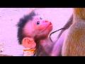 Sad Video Newborn Baby Screaming To Asking Milk While Baby No Milk Since Was Born