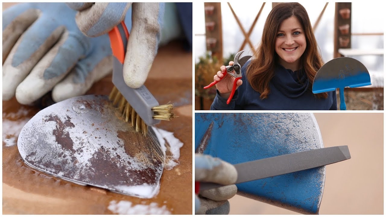 How To Clean \U0026 Sharpen Your Garden Tools! 🛠👍// Garden Answer