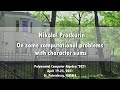 On some computational problems with character sums | Nikolai Proskurin