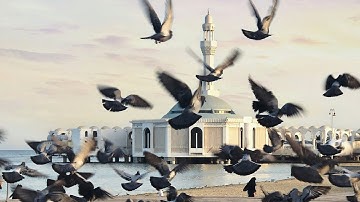 سورة فاطر 🎧 l القارئ عمر بن ضياء الدين