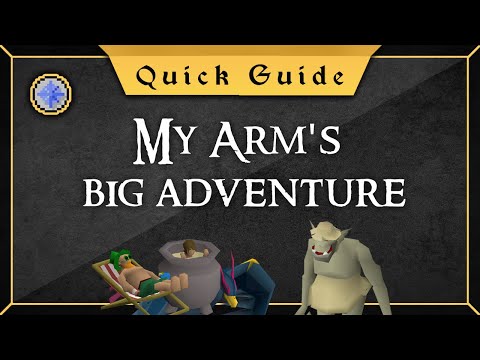[Quick Guide] My Arm's big adventure