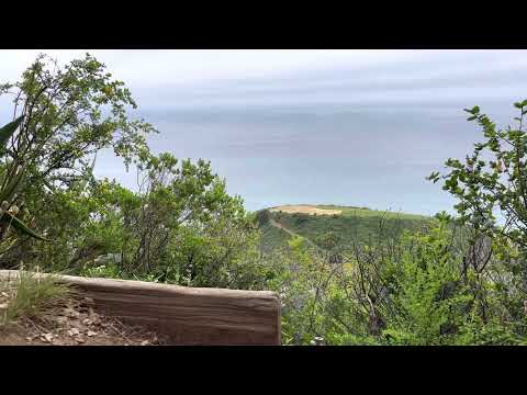 7 Minute Morning Meditation (Big Sur)