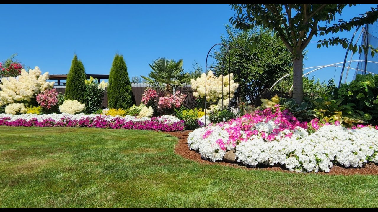 Можно ли выращивать метельчатую гортензию из семян