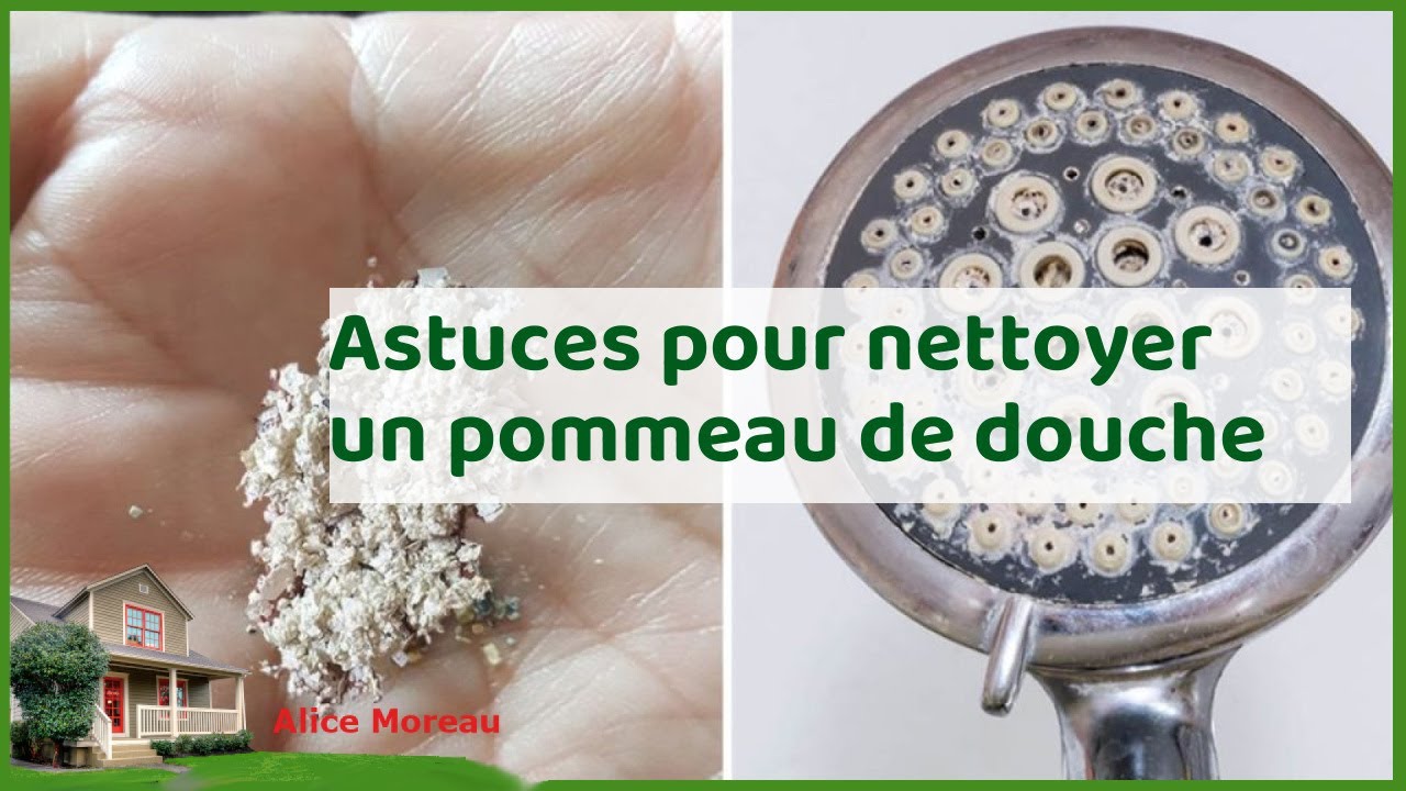 WAPPIOT Douchette EcoPression Anti-calcaire Tête de douche pommeau