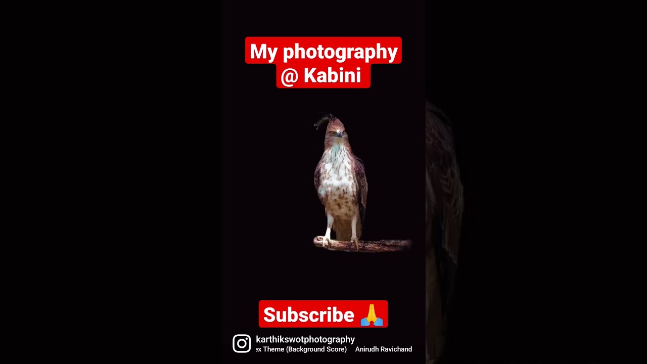 My bird photography at Kabini Wildlife Sanctuary 