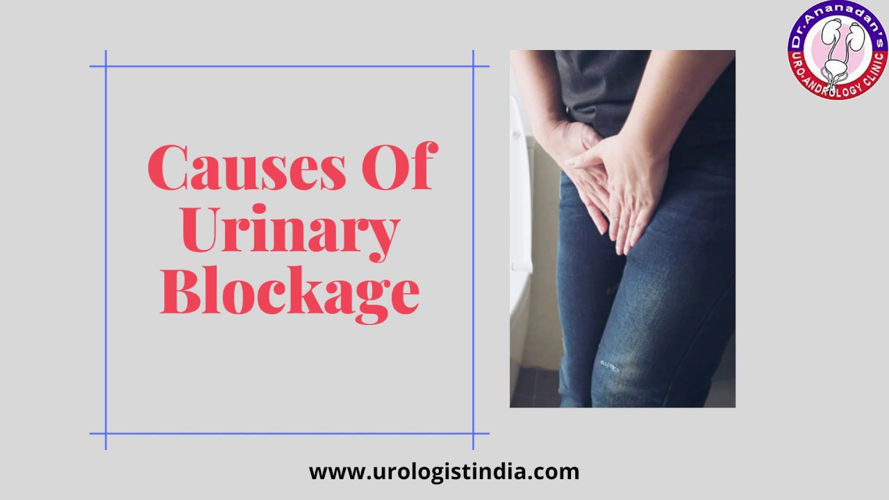 Causes Of Urinary Blockage| Urinary Blockage Treatment In ...