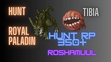 🏹 Tibia - Hunt Royal Paladin 350+ Lower Roshamuul
