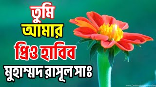 নবীর প্রেমে আশিকি গজল 2024 l Bangla Gojol l Islamic gojol banglagojol