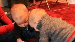 Headbutting Babies Compilation || FunnyBOBO by FunnyBOBO 9,985 views 9 years ago 2 minutes, 7 seconds